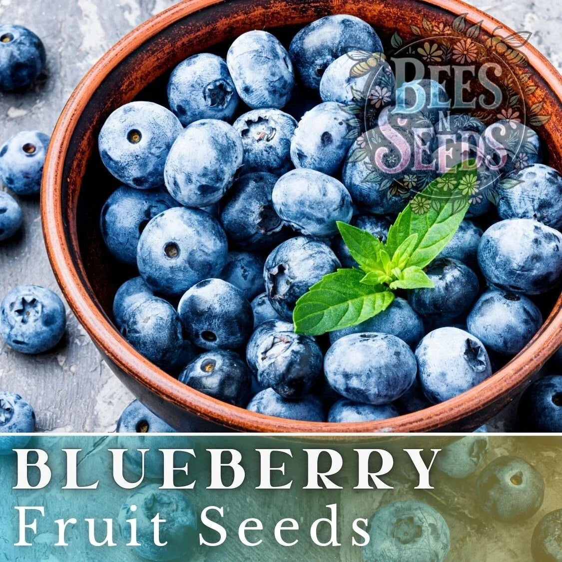 Blueberry Seeds Bulk - Non-GMO Vaccinium corymbosum Fruit Seeds for Organic Gardening, 200/750/3,200 Pack