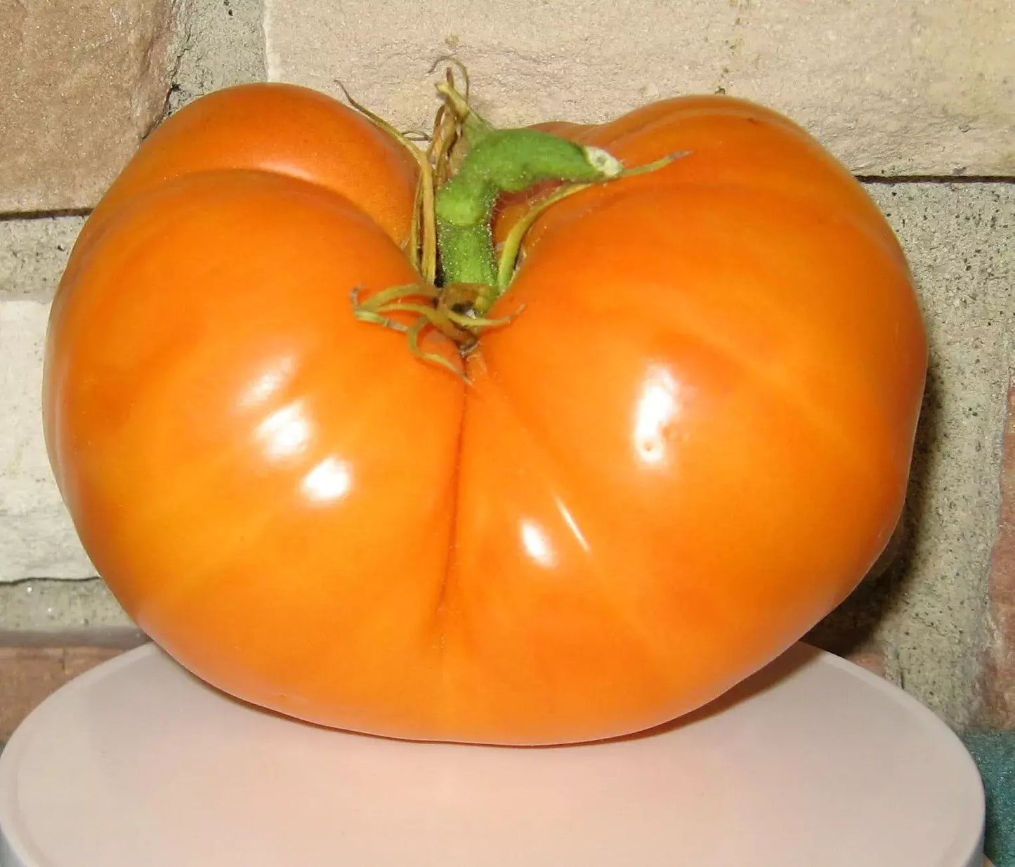 30+ Organic Amana Orange Tomato Seeds - Heirloom Non-GMO Rare Variety for Home Gardeners