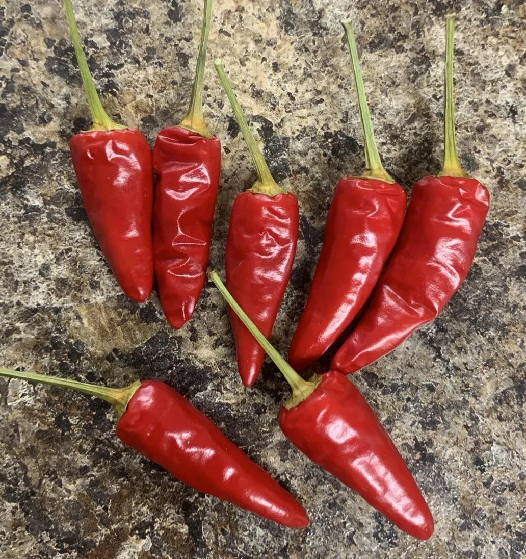 Paprika Seeds - Heirloom Non-GMO Capsicum Annuum for Spicy Flavor, Compact Plant, 25 Seeds