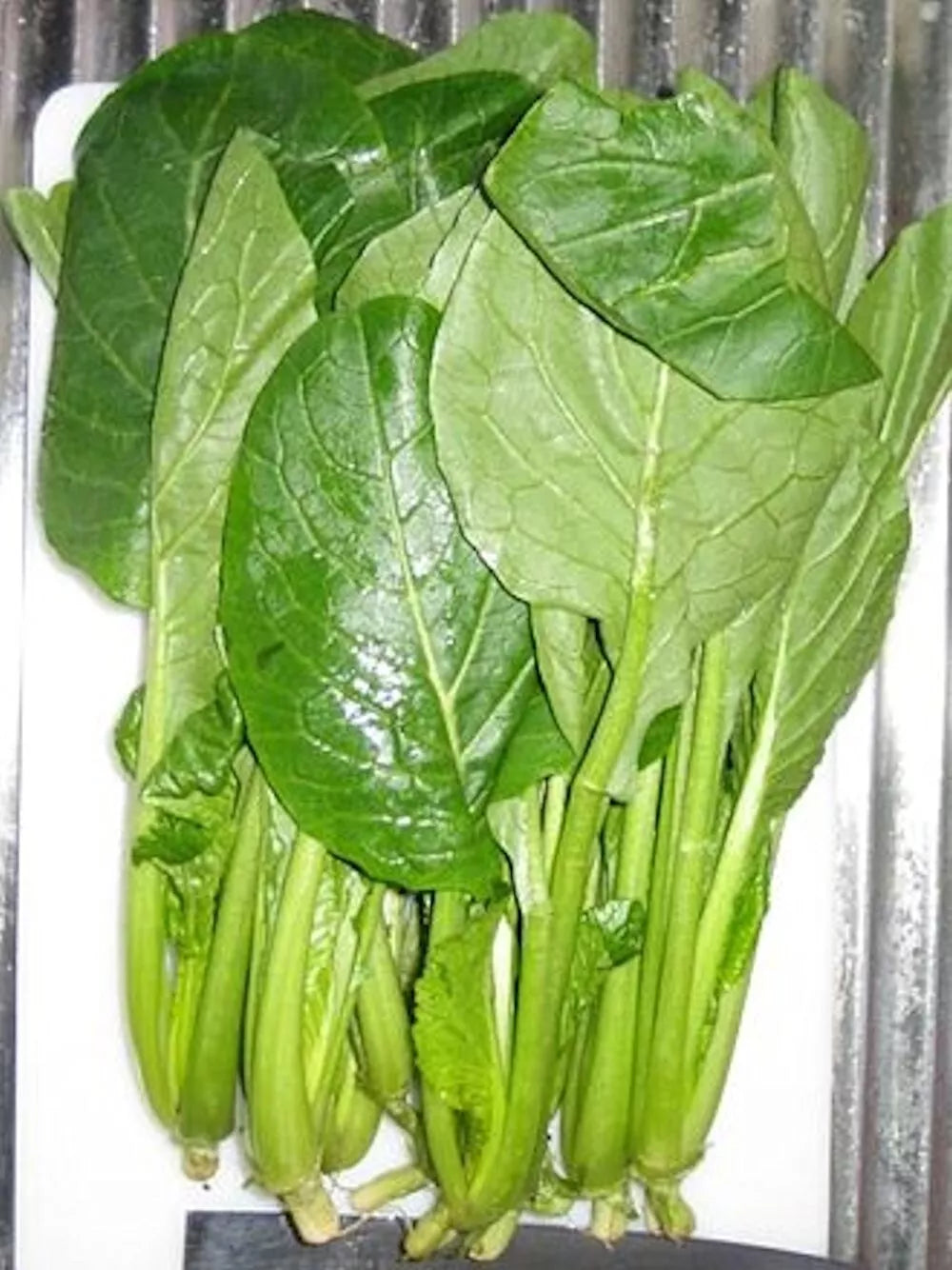 Komatsuna Seeds 2000 Count | Japanese Green Spinach Mustard NON-GMO Brassica rapa var. perviridis
