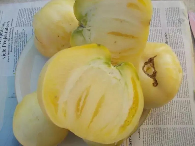 Great White Tomato Seeds - 120+ Organic Heirloom Beefsteak Variety - Non-GMO