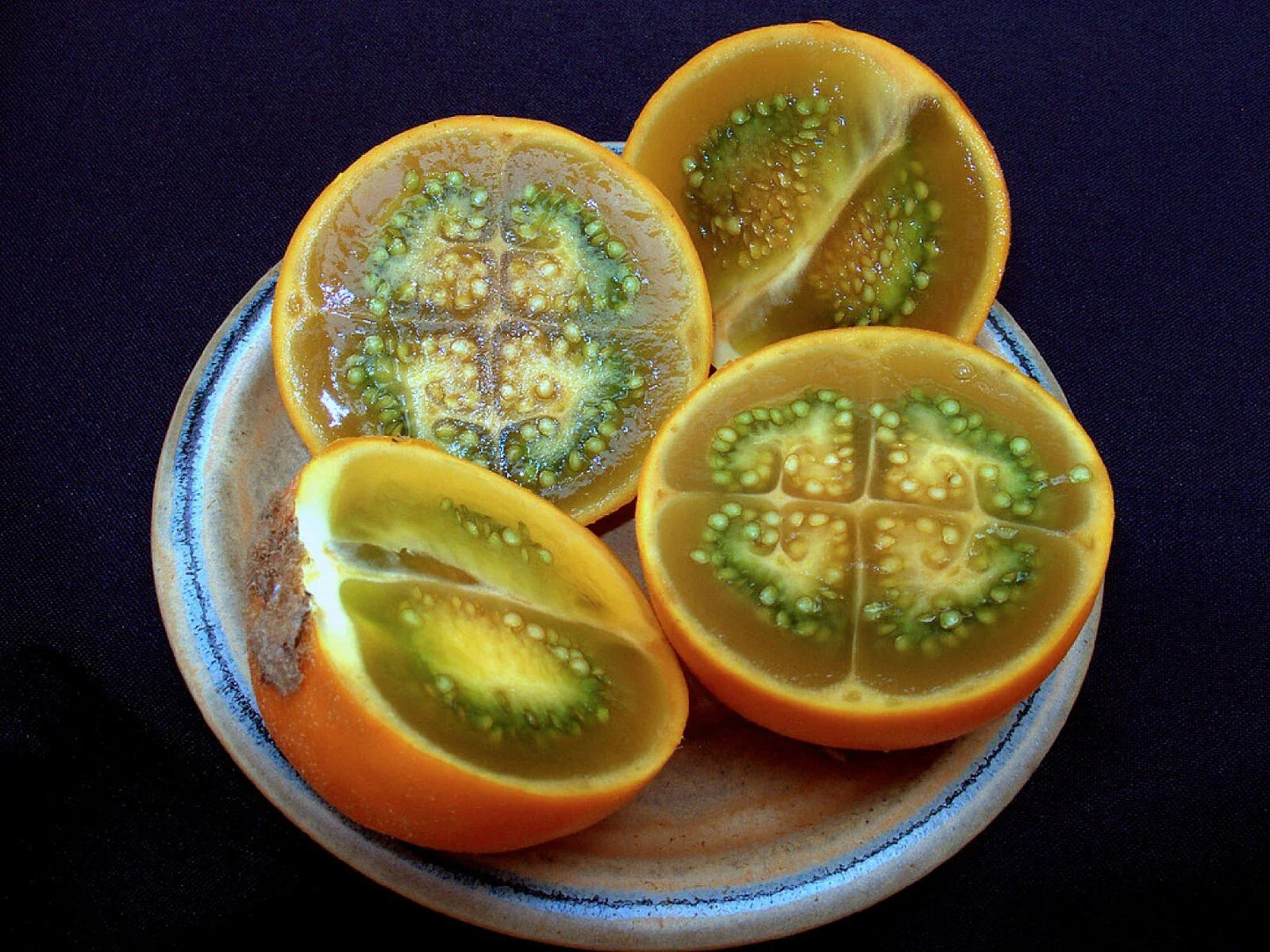 Organic Lulo Orange Tree Seeds - 20 Pack - Solanum quitoense - Tropical Fruit Seeds