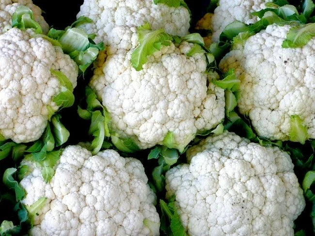 Cauliflower Seeds 1/4 Lb Snowball Y Improved Heirloom Brassica oleracea