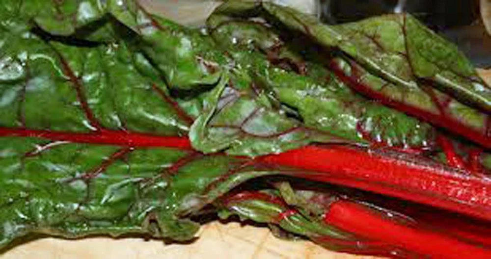 Heirloom Rhubarb & Swiss Chard Seed Pack - 1000 Non-GMO Organic Seeds for Gardening