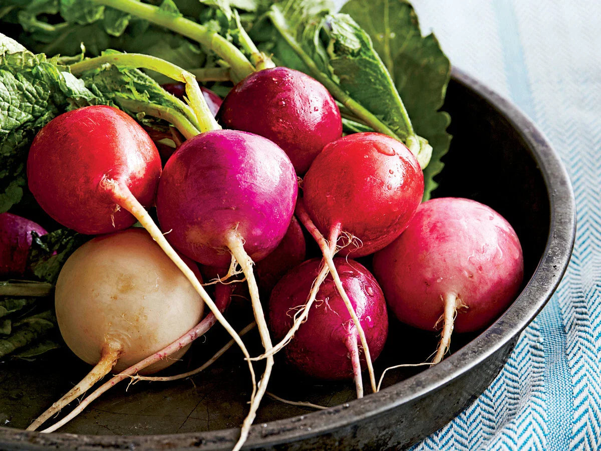 Easter Egg Radish Seeds NON-GMO - Fast Harvest Assorted Colors Raphanus sativus