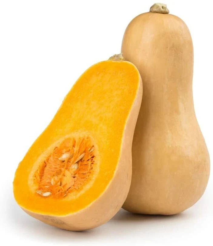 Butternut Squash Seeds - 25 Count, Winter Variety, Cucurbita moschata, Vining Vegetable for Home Garden