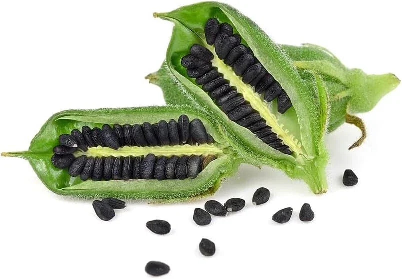 Black Sesame Seeds for Planting - Kurogoma, 500 Organic Edible Seeds