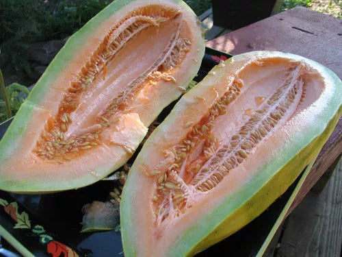 25 Melon Banana Seeds - Rare Heirloom Non-GMO Seeds by GroCo USA