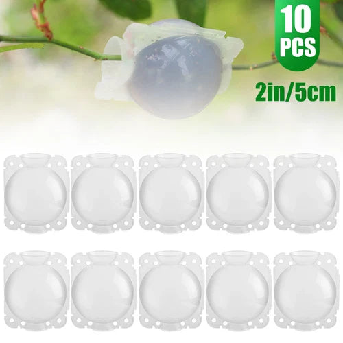 Plant Rooting Box 10PCS 5cm Transparent Grafting Device for Air Layering, Reusable PP Plastic for Roses & Trees
