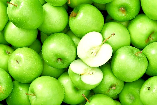 Granny Smith Apple Tree Scion Cuttings – 6-10 Inch Grafting Propagation Material, Malus domestica