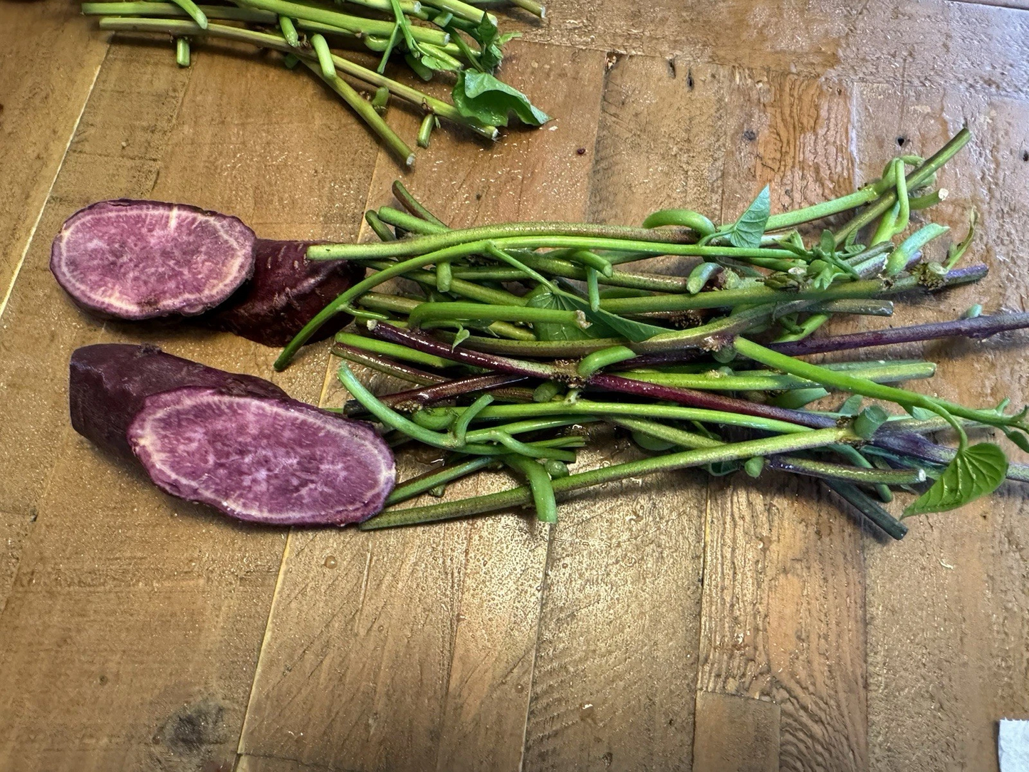 Japanese Molokai Purple Sweet Potato Slips - Ipomoea Batatas, 25 Unrooted Cuttings for Planting