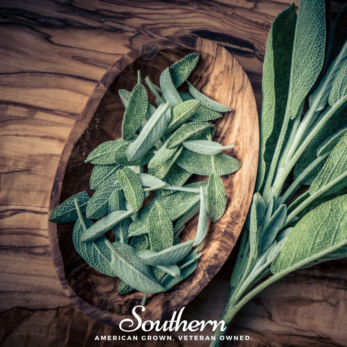 Extrakta Sage Seeds – Heirloom Salvia officinalis for Culinary Use, Aromatic, Drought-Tolerant Perennial Herb, 30 Seeds