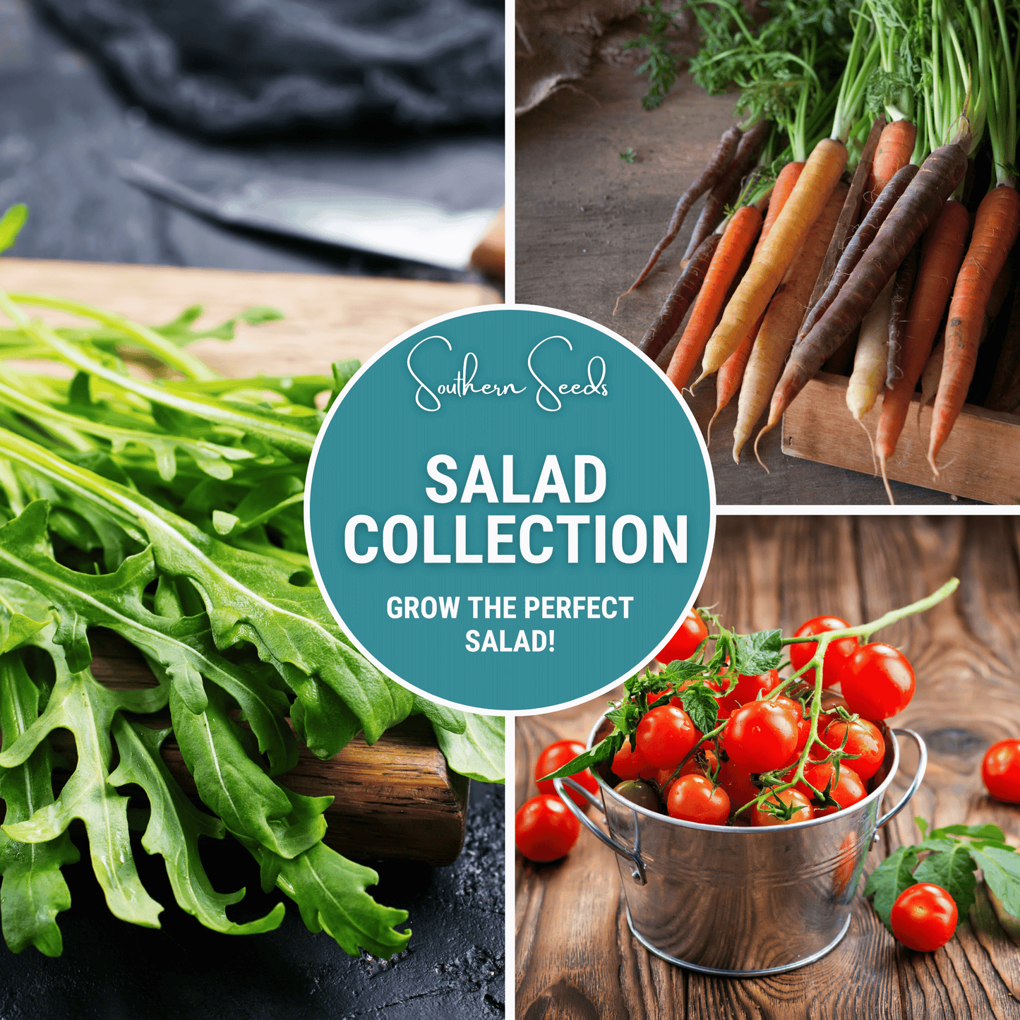 Salad Seed Collection β 6 Varieties for Fresh Garden Salads β Lettuce, Cucumber, Arugula, Radish, Tomato, Carrot Seeds