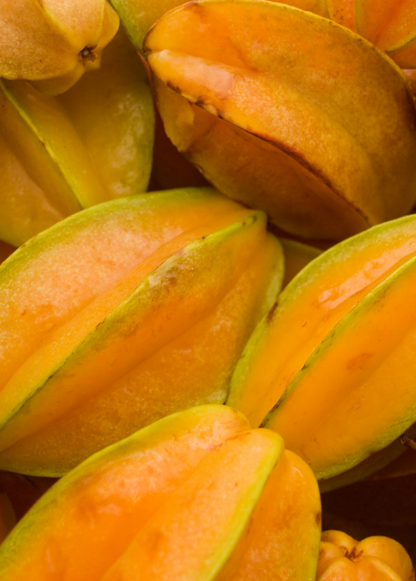 Star Fruit Tree Lara 'Averrhoa carambola' Grafted Tropical Fruit for Home Gardens