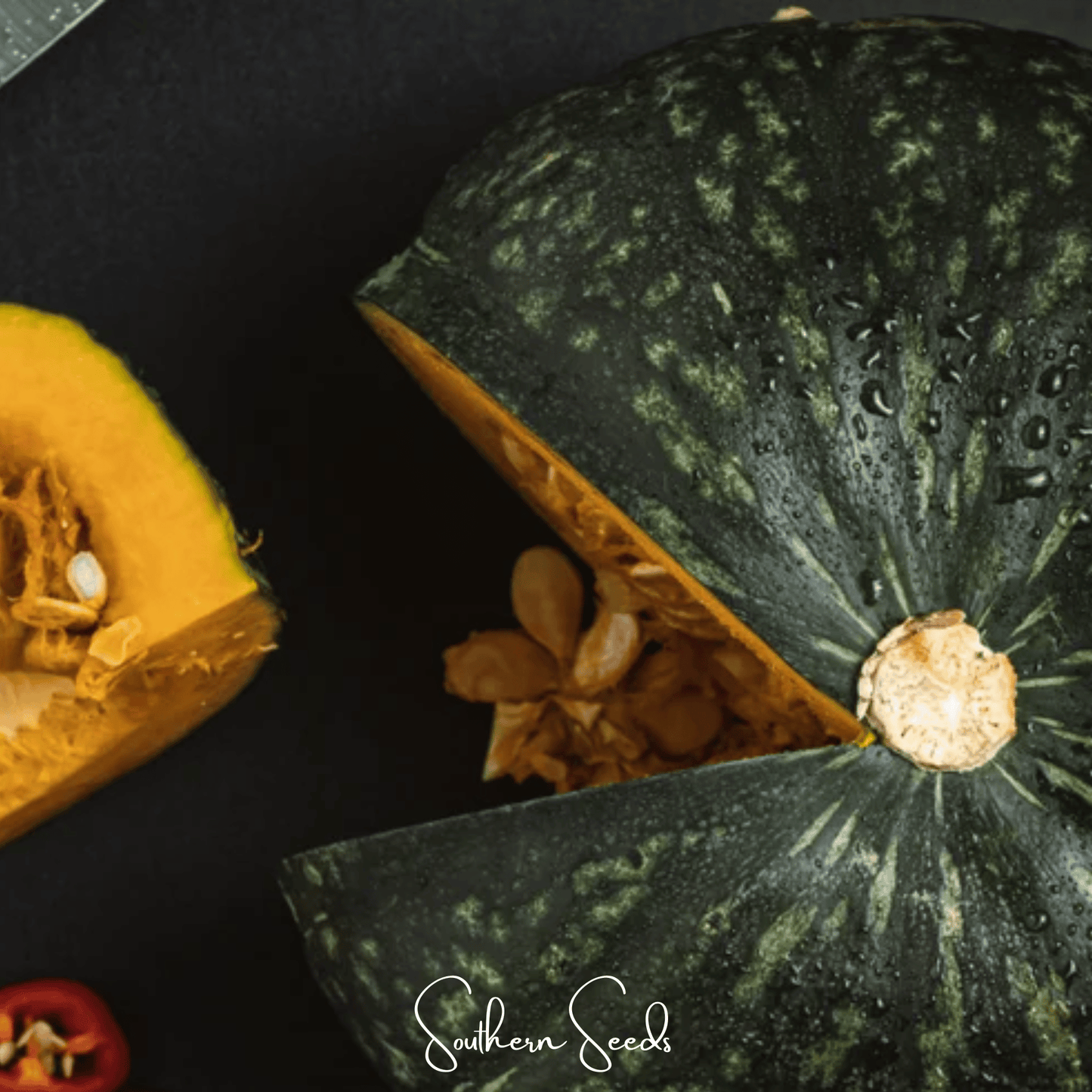 Black Forest Kabocha Squash Seeds – Heirloom Cucurbita maxima, Sweet Flavor, Dark Green Skin, Vibrant Orange Flesh, 10 Seeds