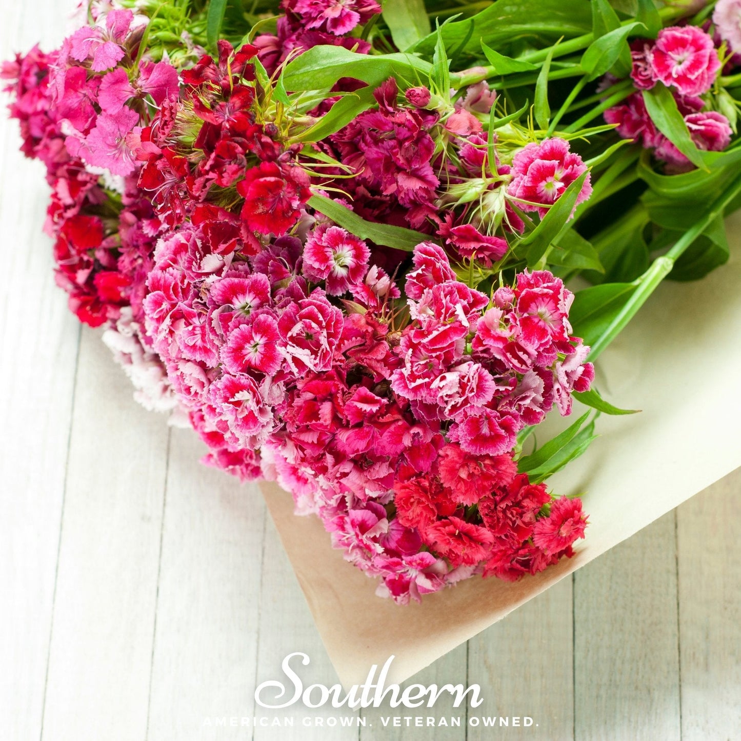 Sweet William Seeds - Dianthus barbatus Heirloom Mix for Cottage Garden, Cut Flowers & Pollinator Attraction