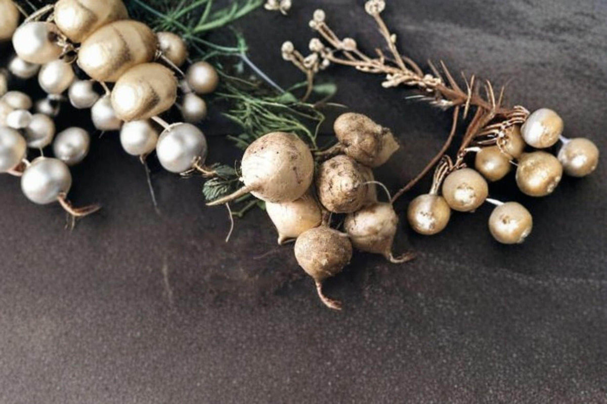 True Jicama Seeds - 5 Pack | Tropical Root Vegetable | Pachyrhizus erosus | Crisp & Sweet Tubers for Unique Gardens