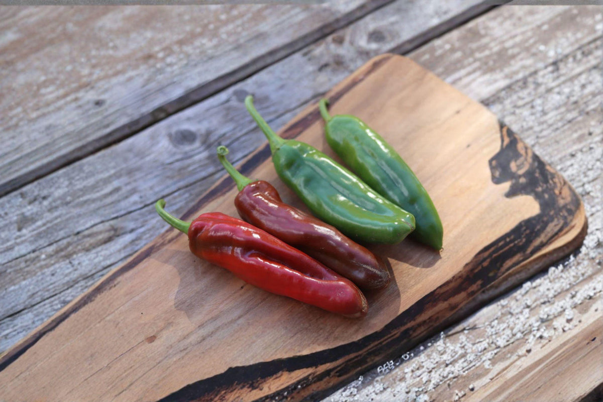 Anaheim Hot Pepper Seeds - 30 Non-GMO Seeds - Capsicum annuum - Mild-Medium Heat Chili for Roasting & Cooking