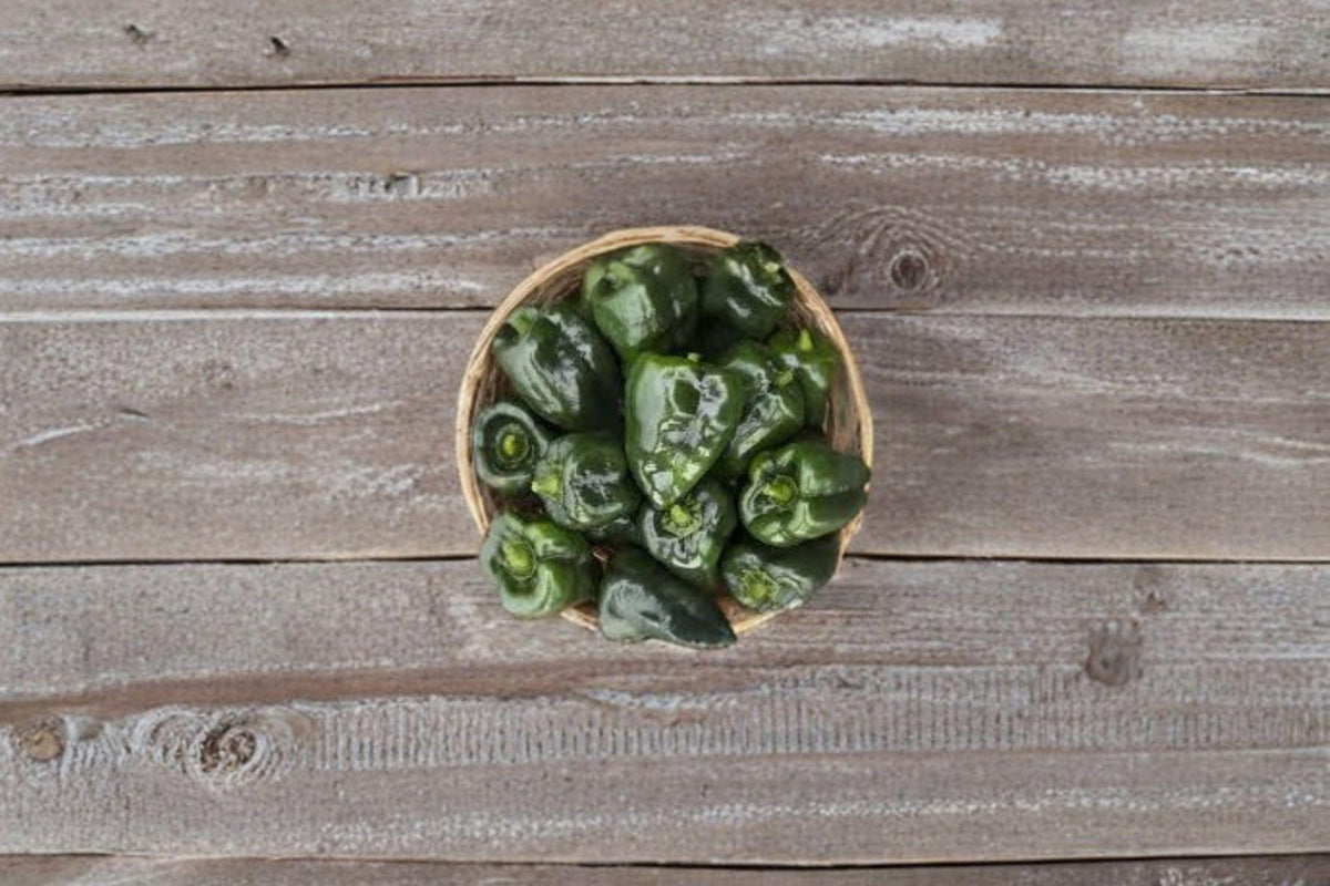 Ancho Poblano Hot Pepper Seeds - 25 Non-GMO Seeds, Capsicum annuum, Mild-Medium Heat, Perfect for Stuffing & Drying