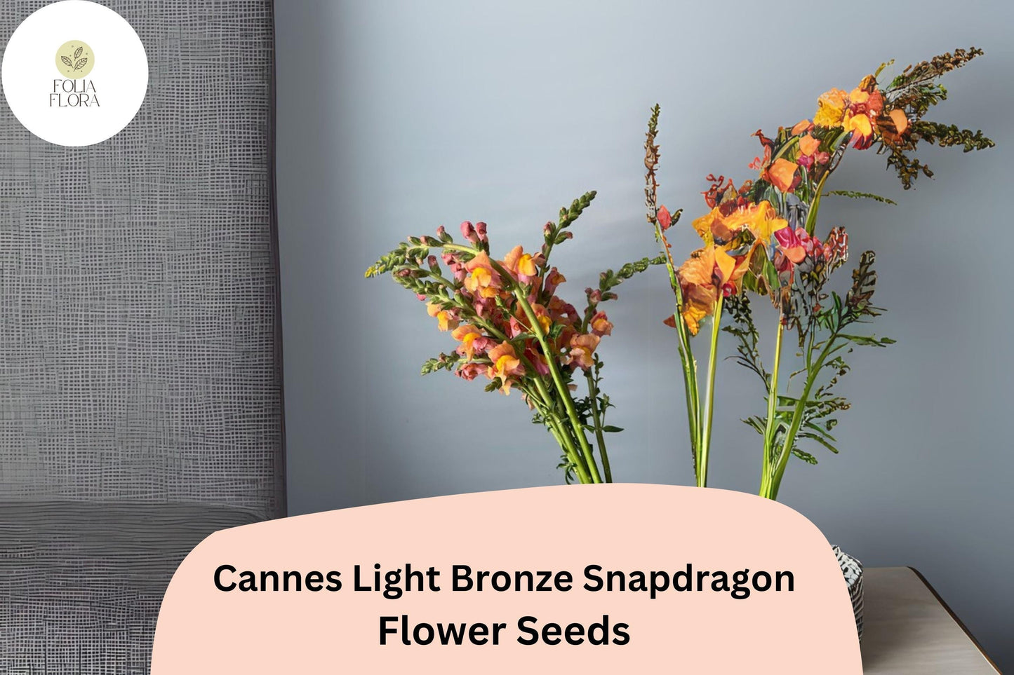 Cannes Light Bronze Snapdragon Seeds - 1000+ Antirrhinum majus Seeds for Warm Bronze Blooms
