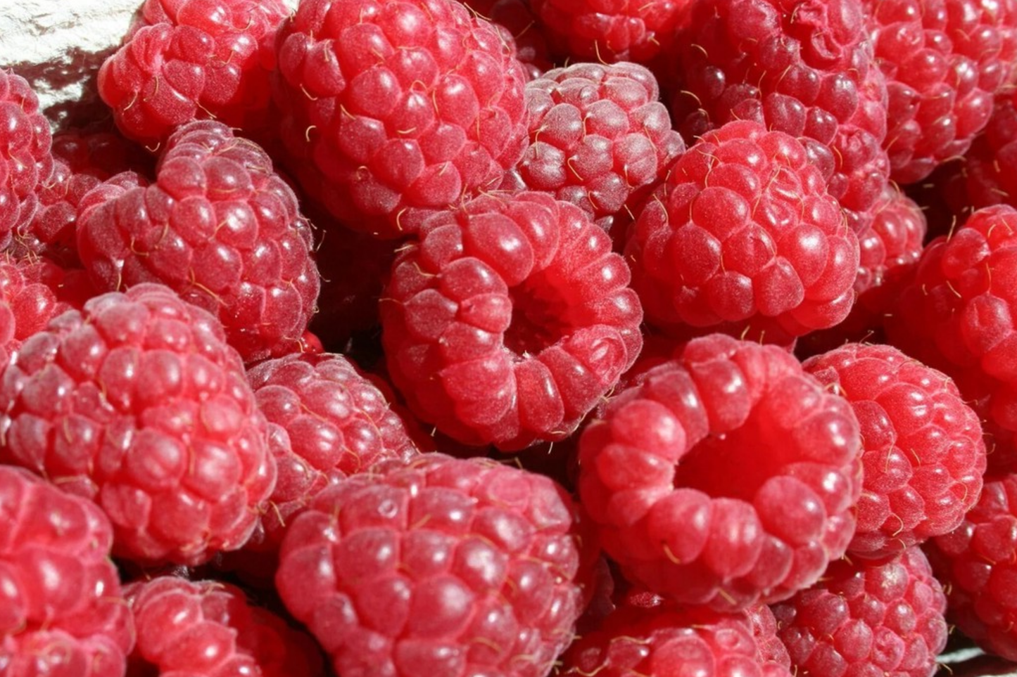 Savor Raspberry Seeds - Non-GMO Fruit Seeds, Rubus idaeus, Bulk Packs 125/300/750, Juicy, Organic, Easy to Grow