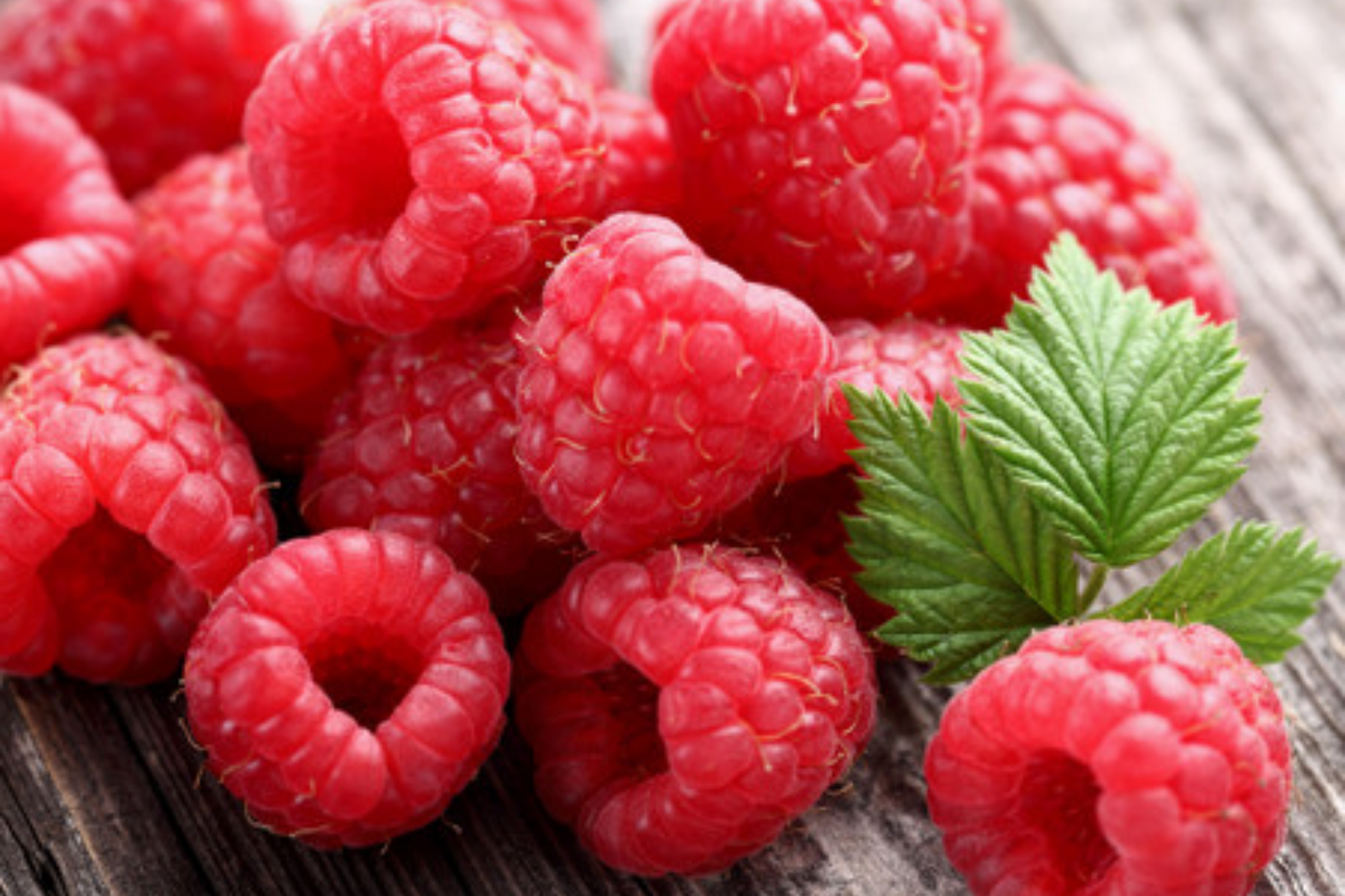 Prism Raspberry Seeds - Non-GMO Fruit Seeds for Home Garden, Rubus idaeus, Bulk Options 125/300/750 Seeds