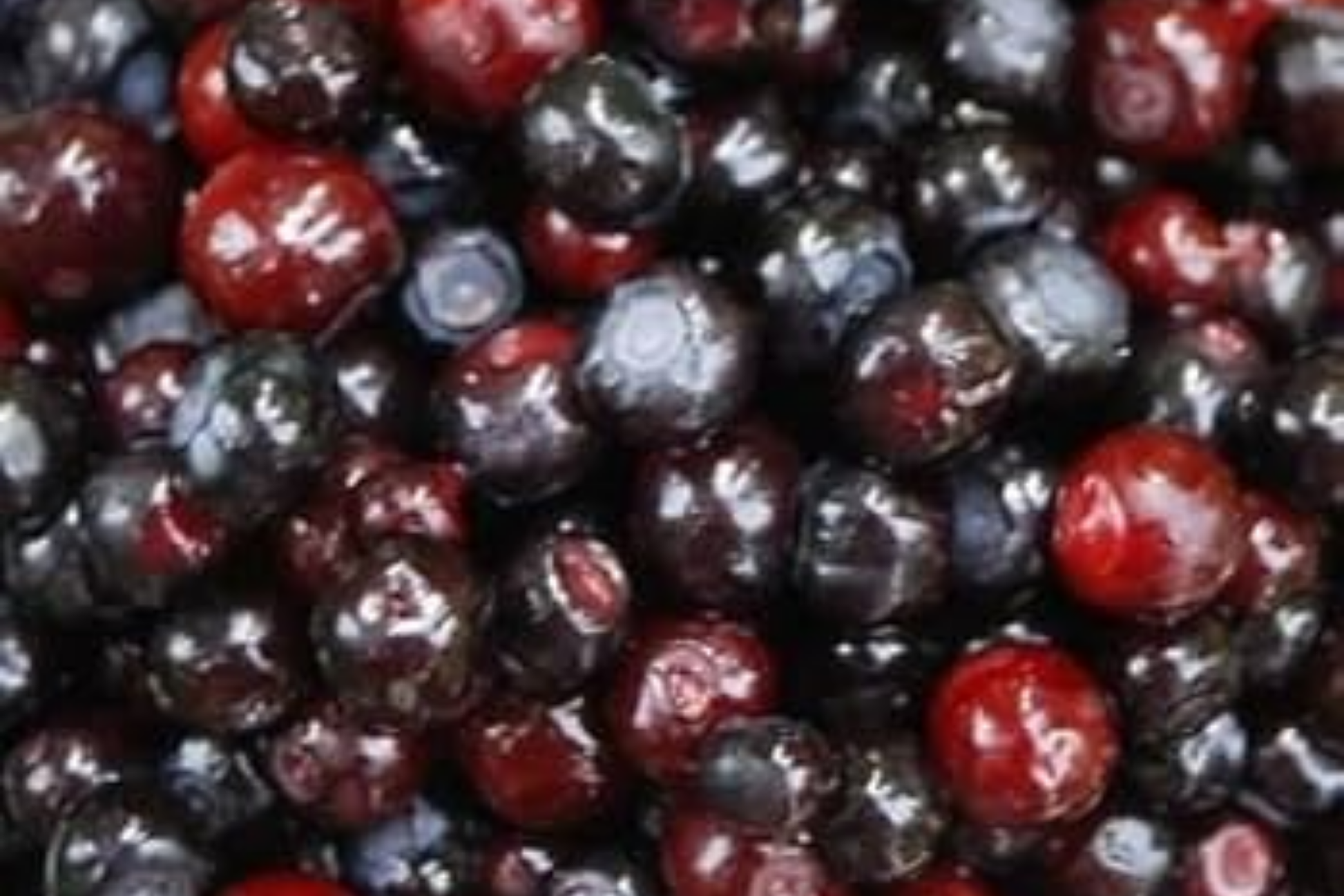Emberberry Huckleberry Seeds - Non-GMO Vaccinium parvifolium Flower Seeds, 125/300/500 Count for Garden Planting