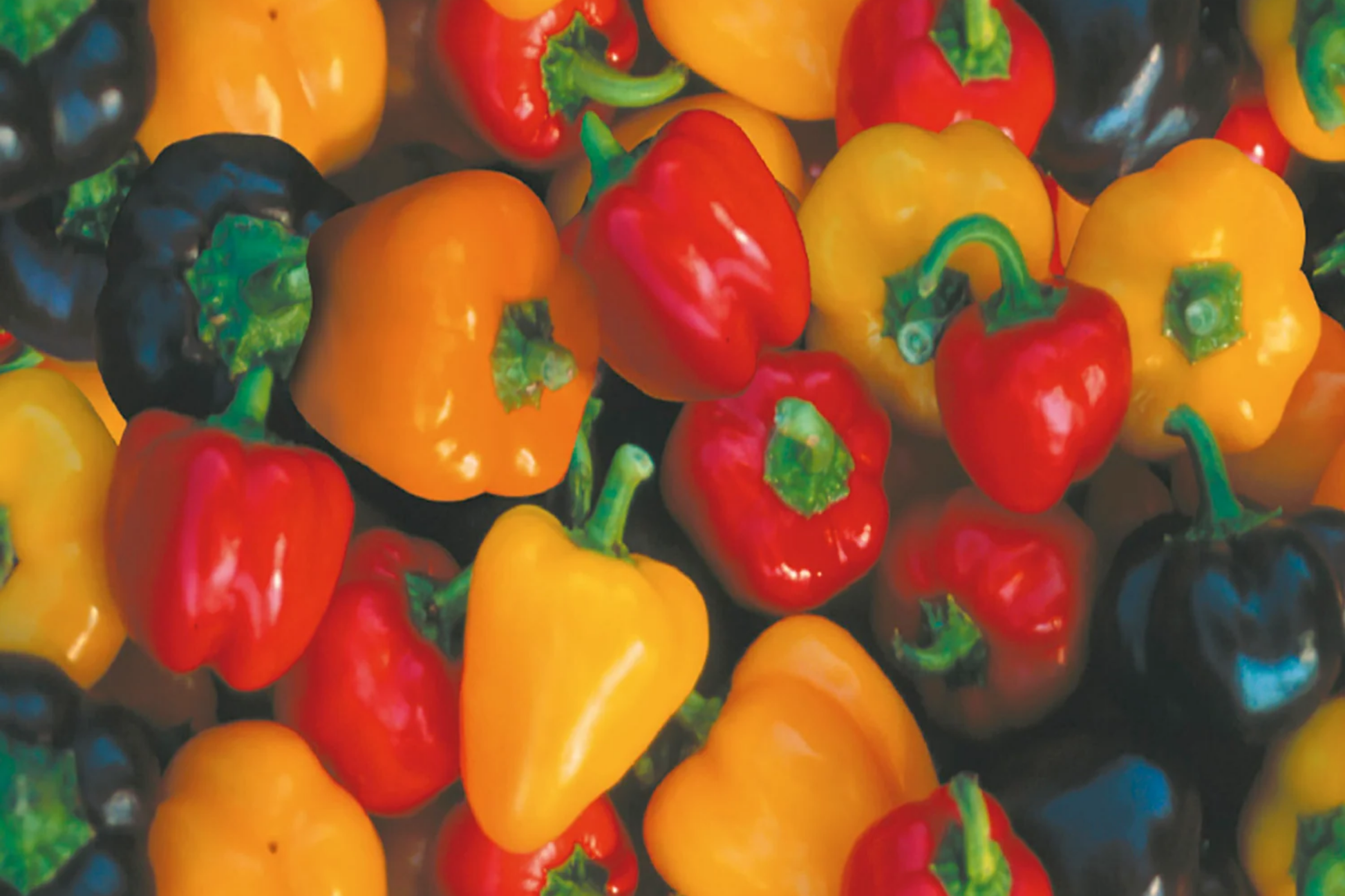 Pepper Vegetable Seeds Bulk Pack 45 Non-GMO Varieties for Home Garden, Sweet & Spicy, Capsicum annuum