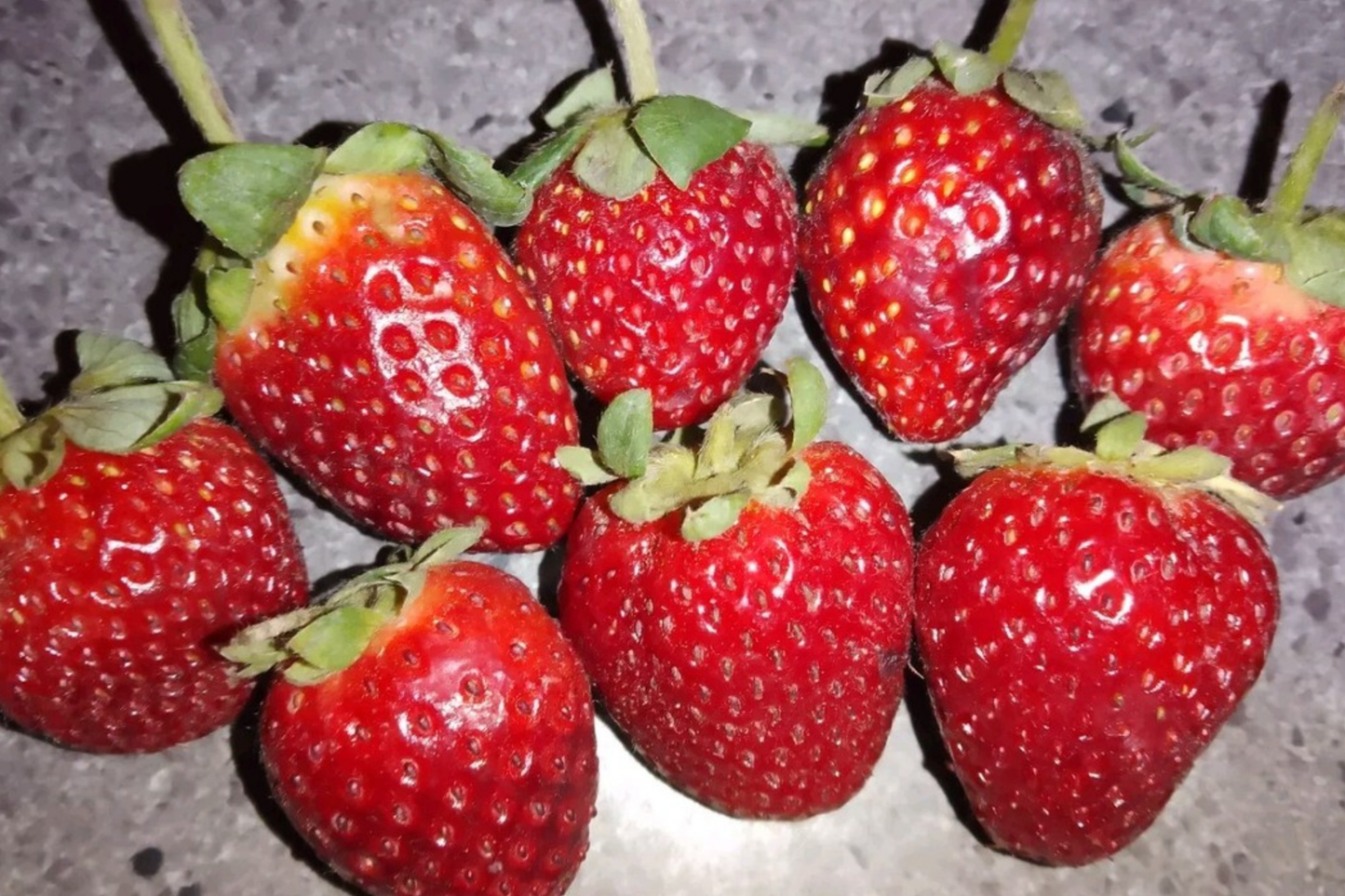 Juicy Gem Strawberry Seeds - Non-GMO Fragaria x ananassa, 150 or 350 Seeds for Home Garden, Container Growing, Sweet & Juicy Fruits