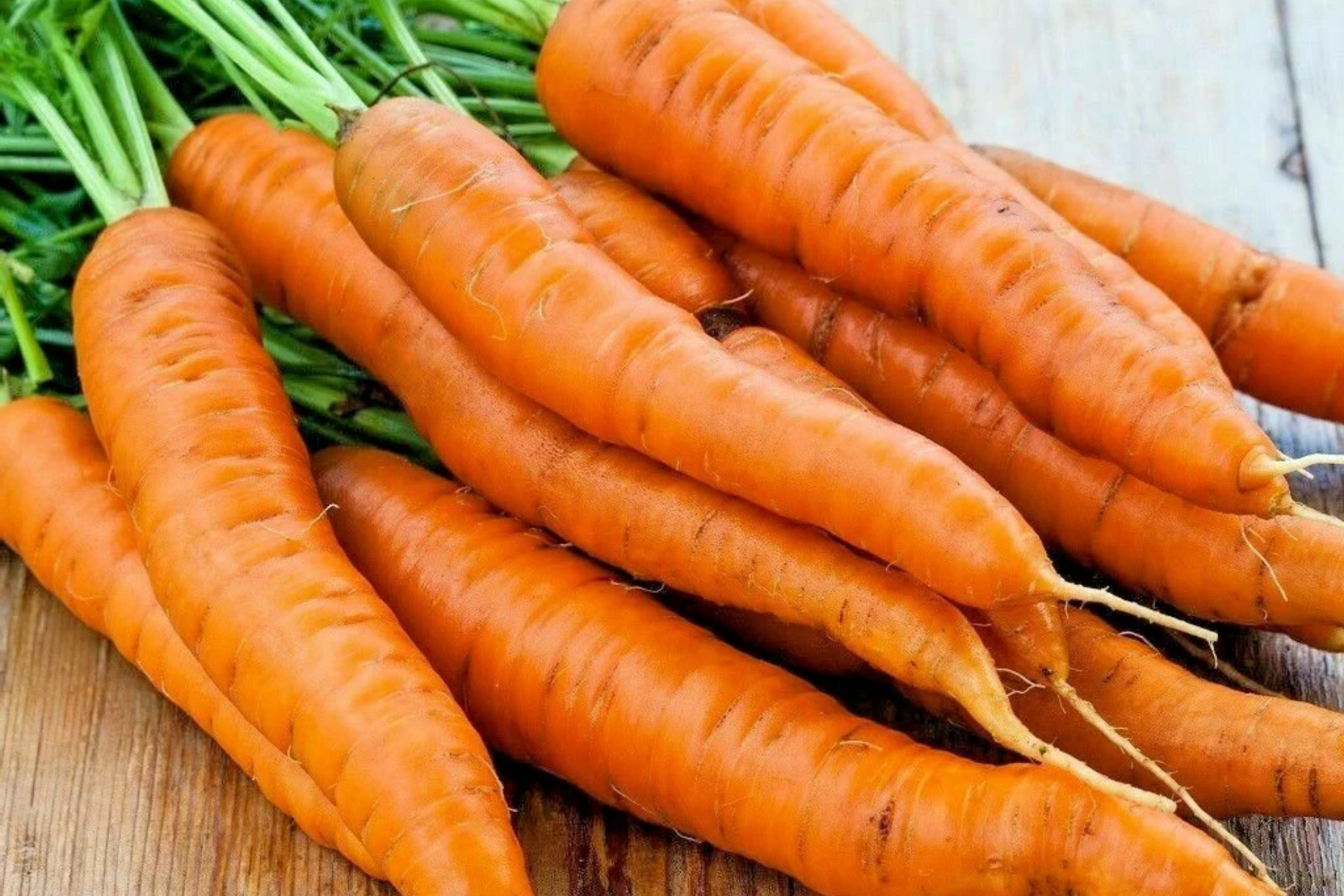 Carrot Vegetable Seeds Pack of 400+ Non-GMO Daucus carota Root Vegetable Seeds for Garden, Home & Kitchen