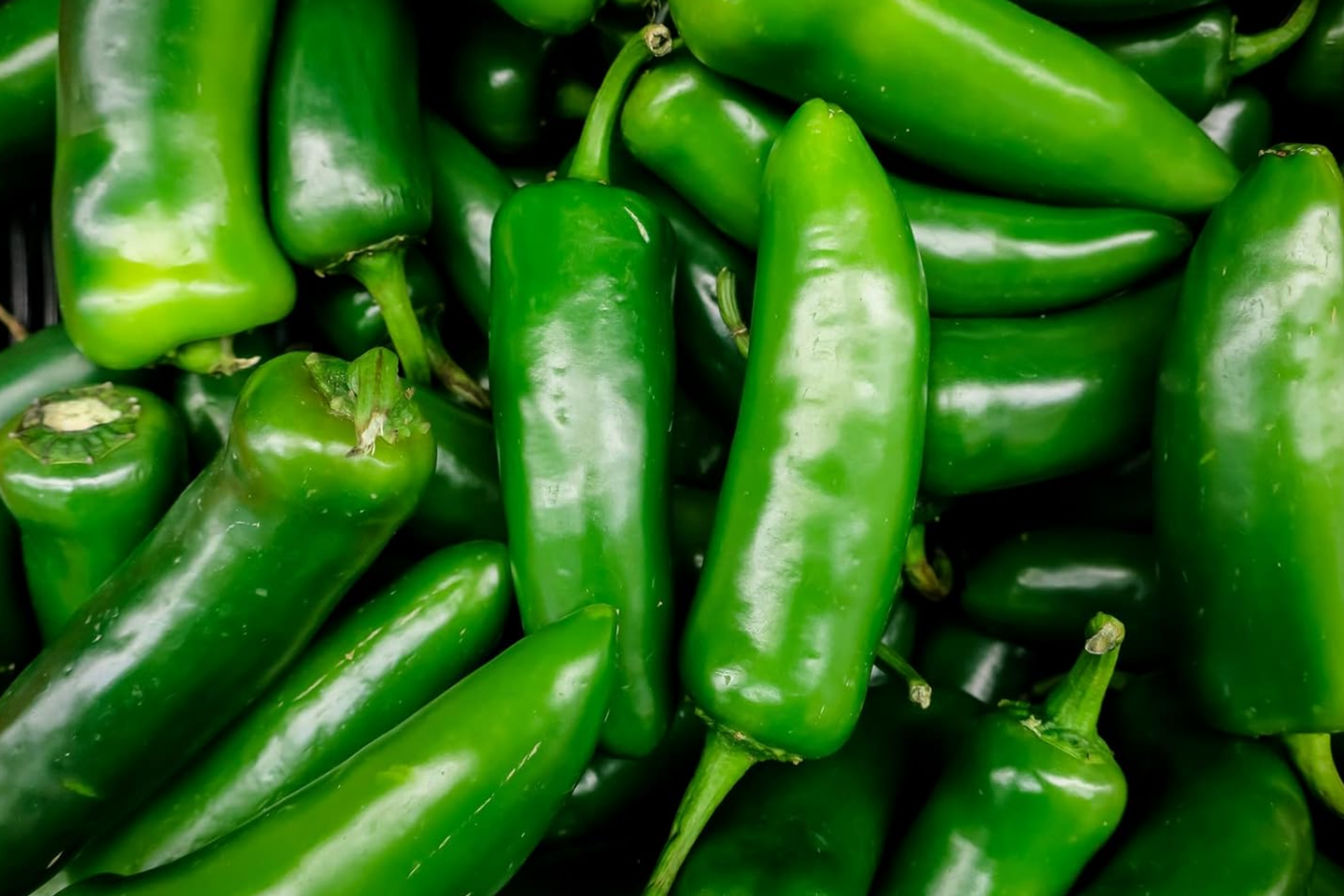 Jalapeno Pepper Seeds | 100+ Non-GMO Heirloom Capsicum annuum | Vegetable Garden Seeds USA
