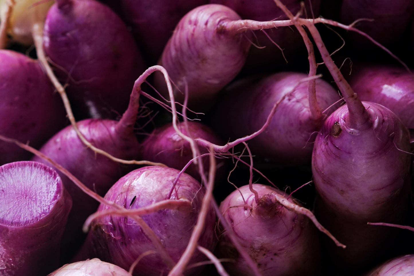 Purple Plum Radish Seeds - 300+ Non-GMO Heirloom Vegetable Seeds for Home Gardening - Raphanus sativus