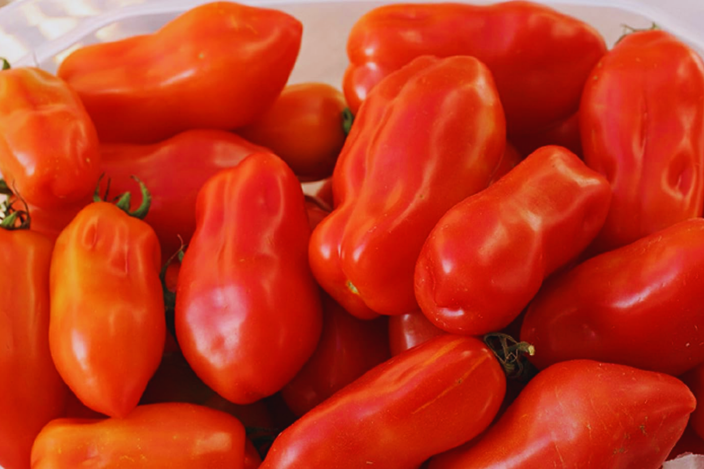 San Marzano Tomato Seeds - 100+ Heirloom Non-GMO Seeds for Home Gardening