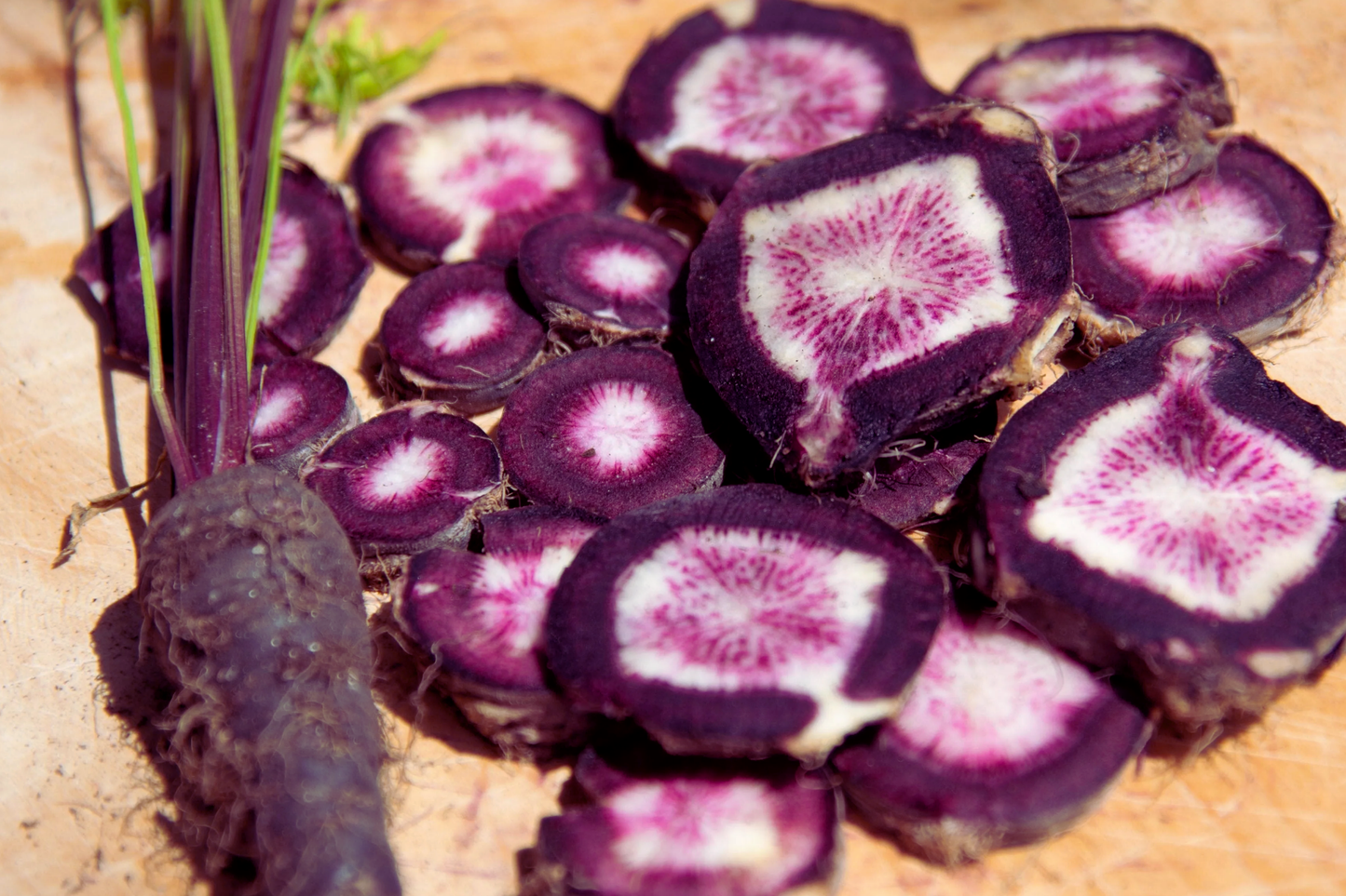 Black Nebula Carrot Seeds - Dark Purple Root Vegetable Seeds for Garden, Daucus carota, Non-GMO, Organic, 100 Pack