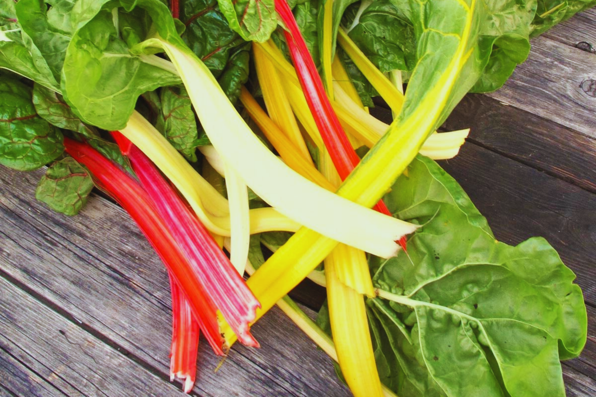 Rainbow Mixture Swiss Chard Seeds | Bright Lights, Non-GMO, Colorful Stems & Leaves, Beta vulgaris subsp. vulgaris