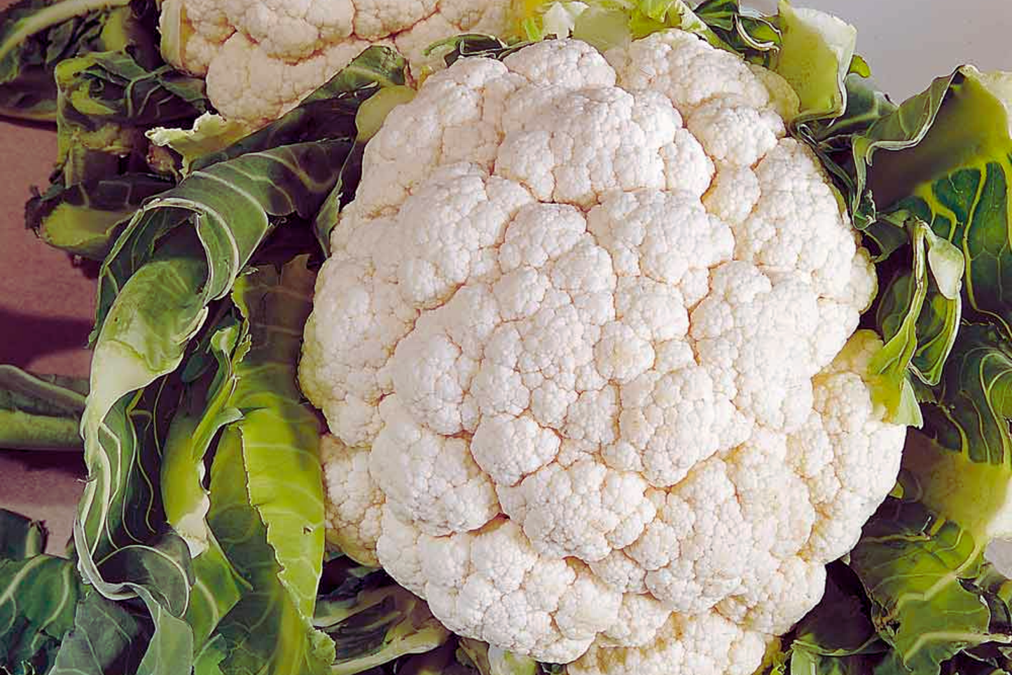 Cauliflower Seeds Snowball Y Improved White Variety Brassica oleracea