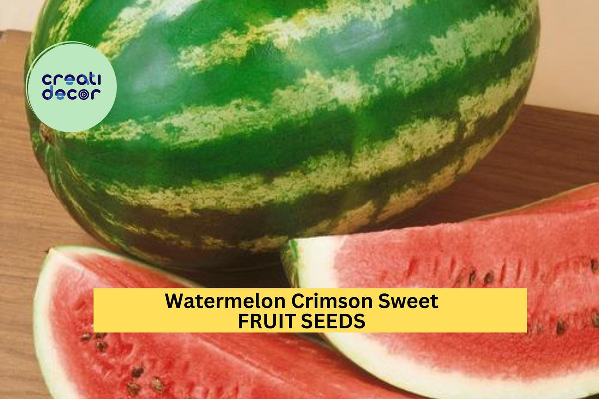 Crimson Sweet Watermelon Seeds 3pcs 2g - Juicy Red Melon, Heat-Tolerant, Citrullus lanatus, Perfect for Summer Gardens
