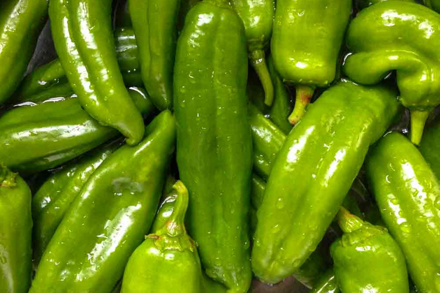 Long Green Hot Pepper Seeds | Non-GMO Capsicum annuum | Spicy Pepper Variety