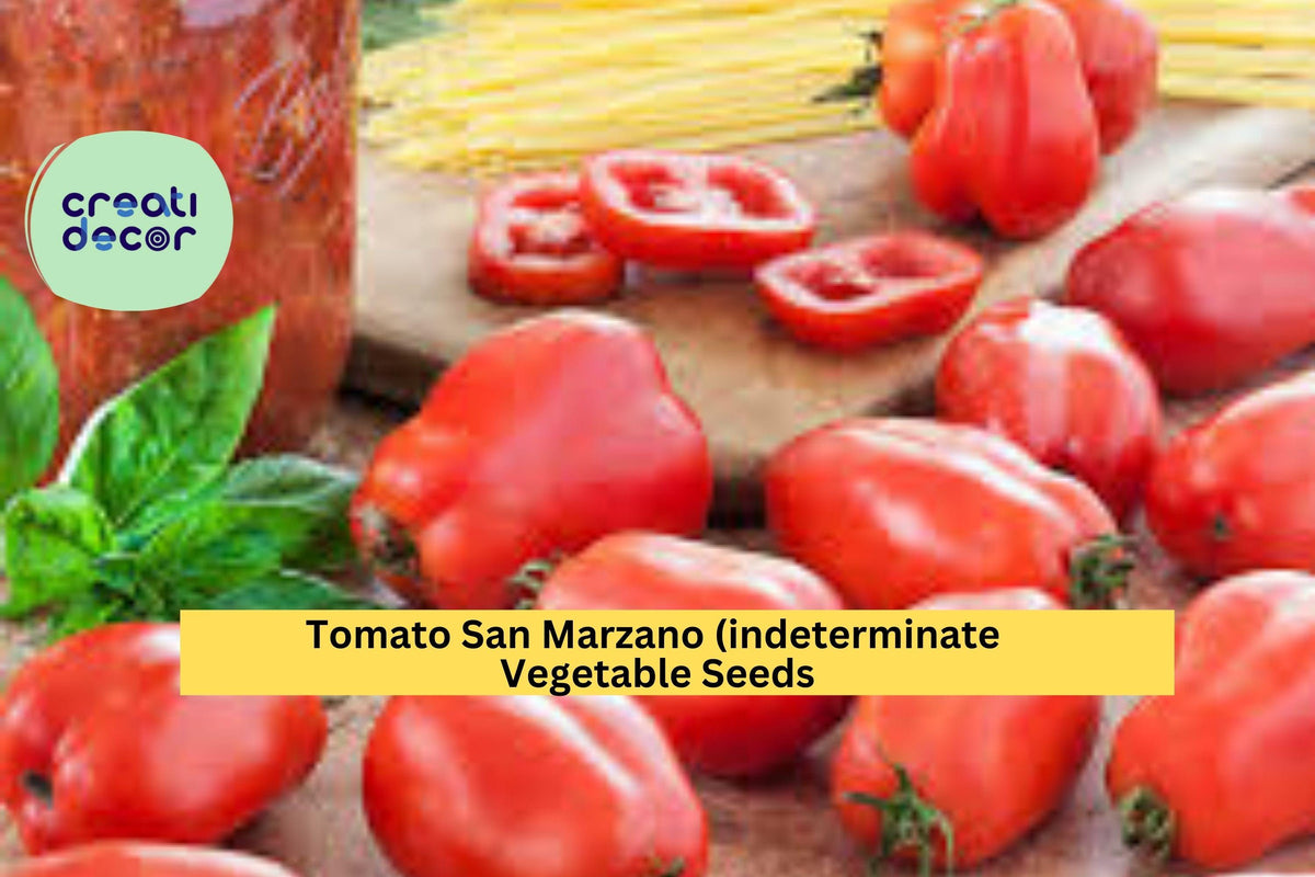 San Marzano Tomato Seeds - 3pcs 100mg Italian Heirloom for Home Garden, Indeterminate Variety (Solanum lycopersicum)