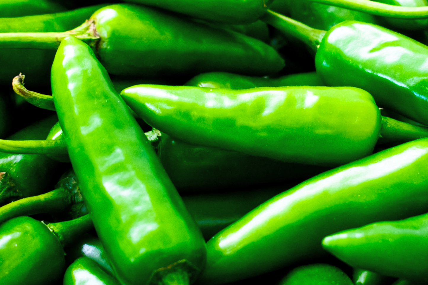 Anaheim Hot Pepper Seeds | Non-GMO Green Chili Pepper Capsicum annuum