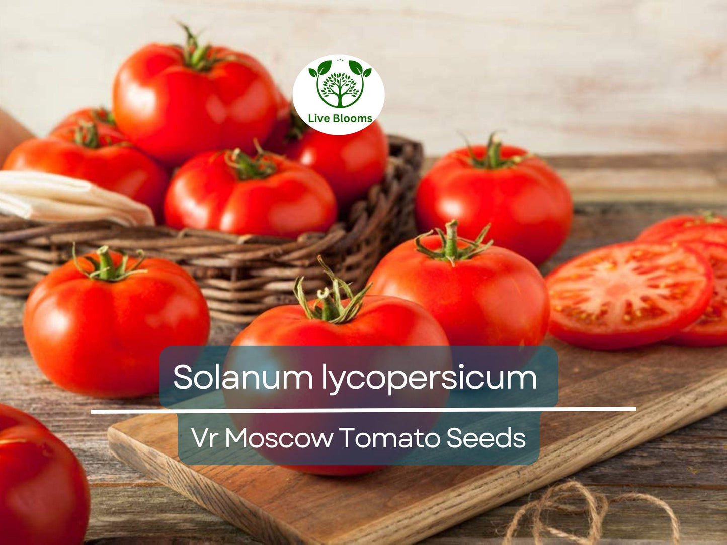 100 mg VR Moscow Tomato Seeds - Heirloom Disease-Resistant Solanum lycopersicum for Home Gardens