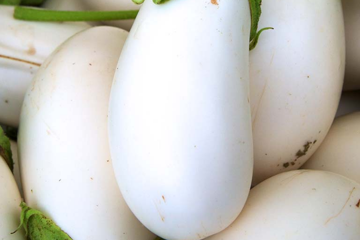 Thai Long White Eggplant Seeds | NON-GMO Solanum melongena | Long Snowy White Variety