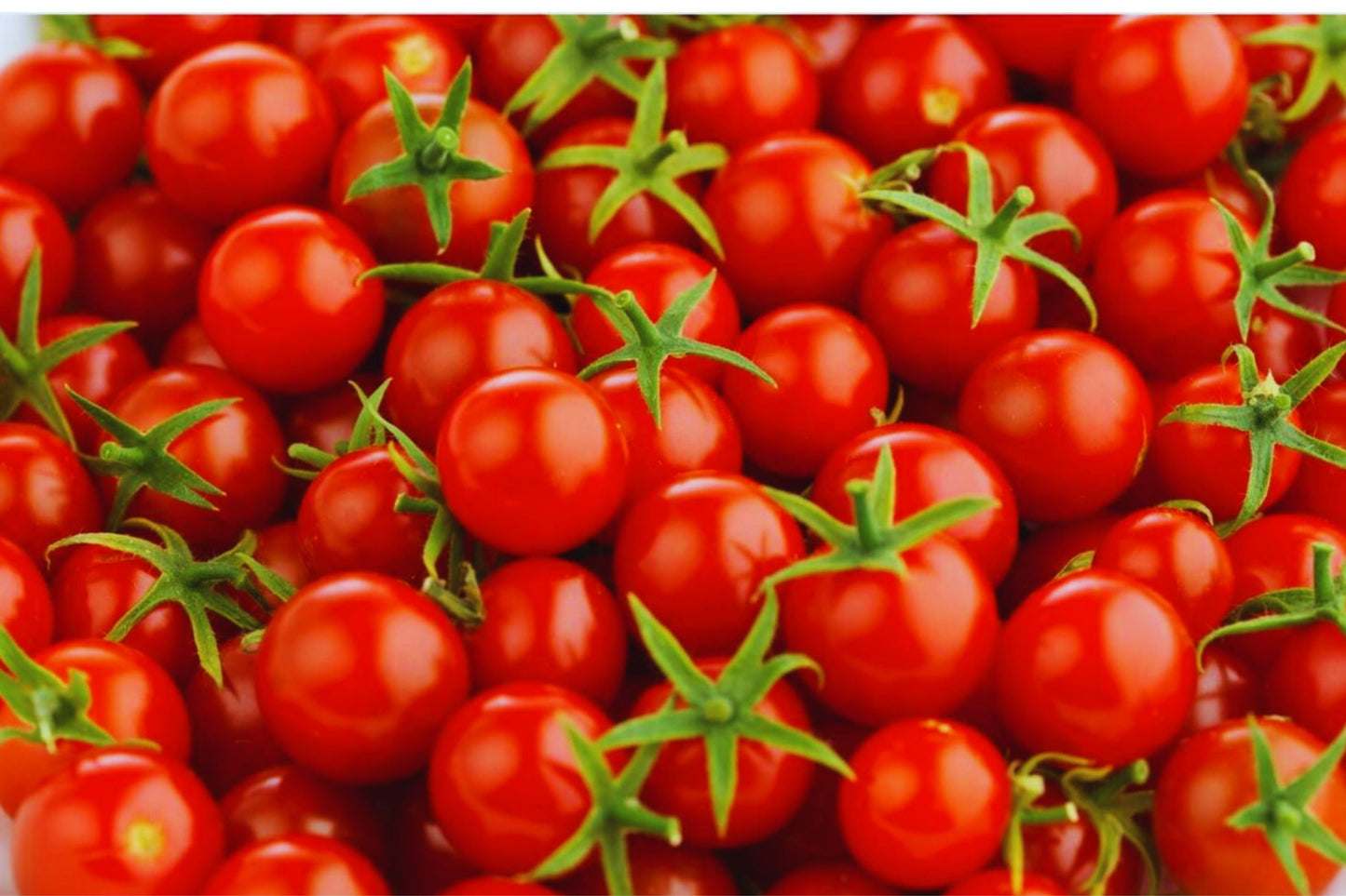 Large Red Cherry Tomato Seeds - Heirloom Solanum lycopersicum, Juicy, Sweet, Non-GMO, 100+ Seeds for Garden & Container Planting