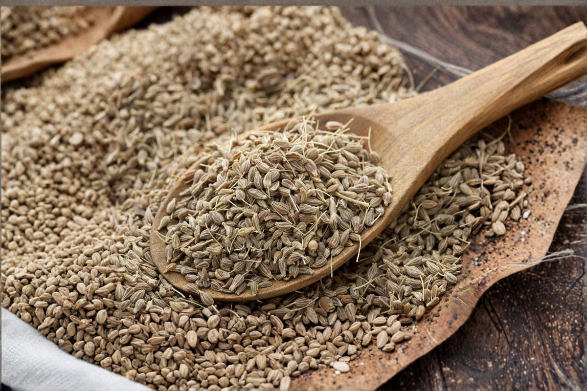Anise Herb Seeds - 100 Count - Aromatic Licorice Flavor - Pimpinella anisum - Culinary & Tea Use - Non-GMO