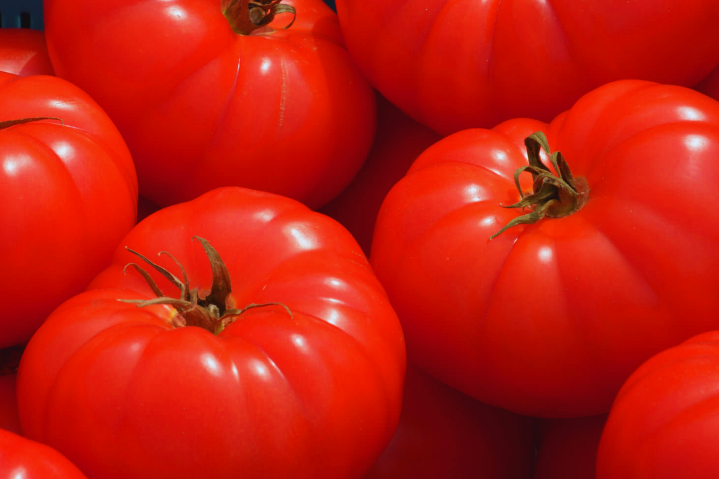 Beefsteak Tomato Seeds - Non-GMO Heirloom Vegetable Seeds Solanum lycopersicum