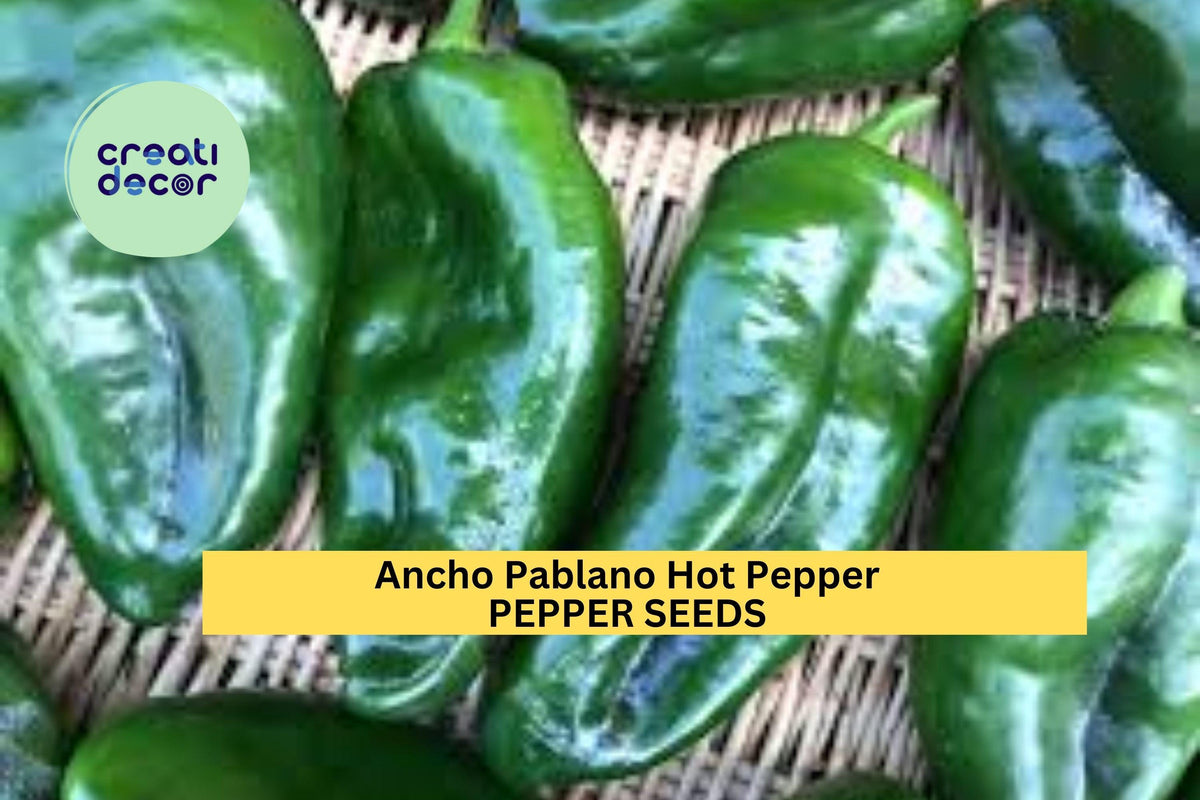 Ancho Poblano Hot Pepper Seeds - 3pcs 250mg - Capsicum annuum - Mild Chili Peppers for Roasting, Stuffing & Drying