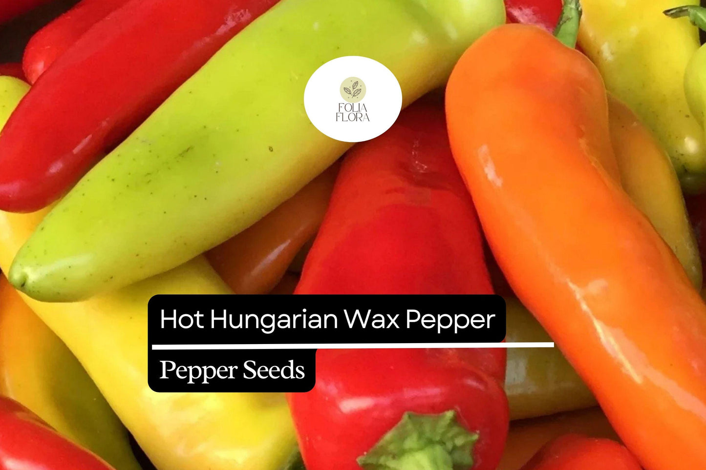 25 Hot Hungarian Wax Pepper Seeds – Heirloom Capsicum annuum, Medium Heat, High-Yielding