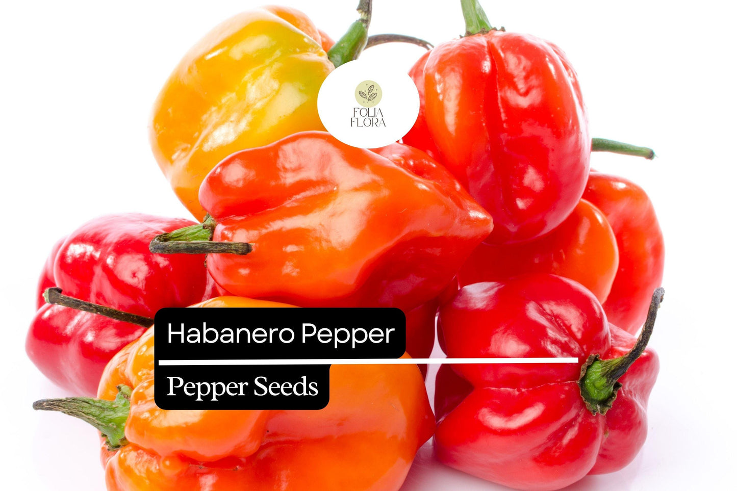 25 Habanero Pepper Seeds – Extra-Hot Heirloom Chili, Non-GMO, 100,000–350,000 Scoville Heat