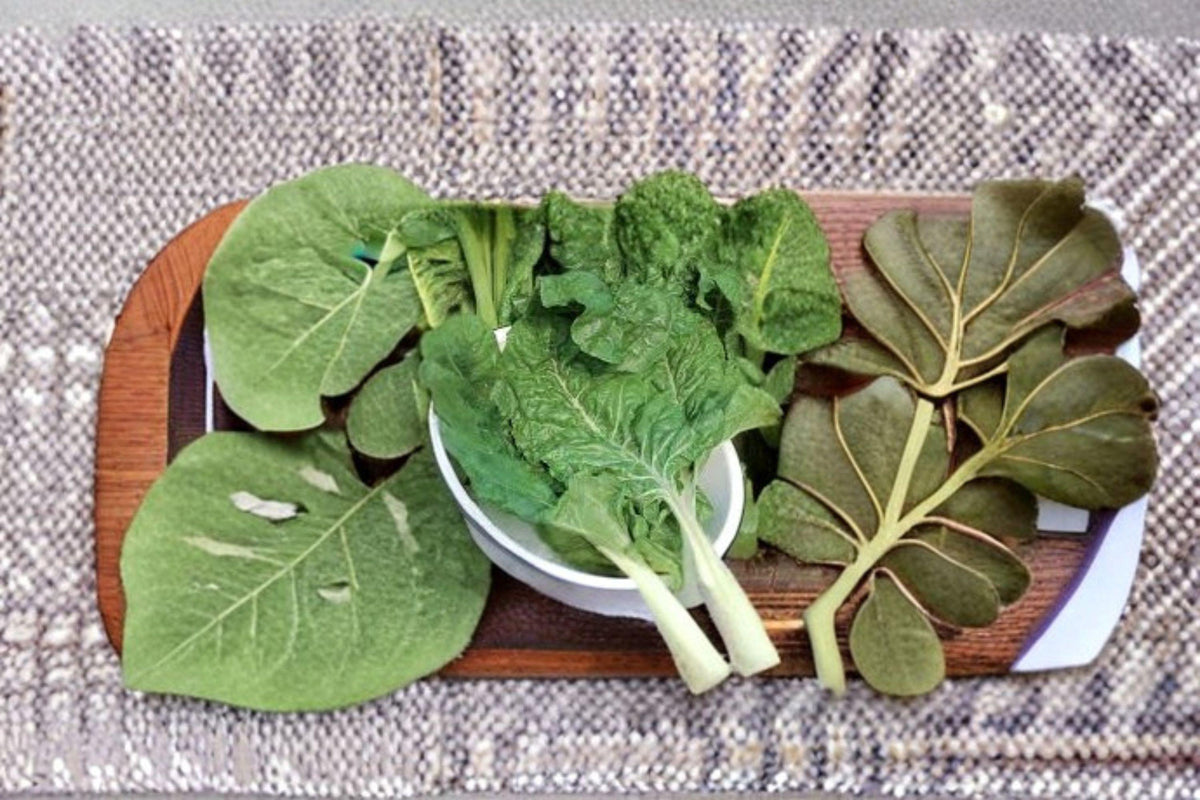 Swiss Chard Seeds - 30 Count Fordhook Heirloom - Broad White Stems - Beta vulgaris subsp. cicla - Heat & Cold Tolerant Gardening