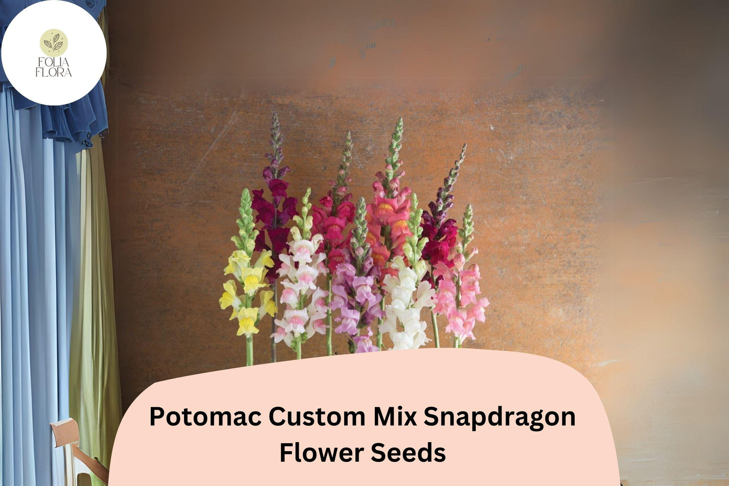 Antirrhinum majus Potomac Custom Mix Snapdragon Seeds – 1000+ Multi-Colored Blooms for Garden & Cut Flowers
